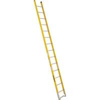 Single Section Straight Ladder - 6100 Series, 14', Fibreglass, 375 lbs., CSA Grade 1AA Les Distributions ICE