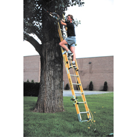 Industrial Heavy-Duty Extension Ladders (6200 Series), 375 lbs. Cap., 13' H, Grade 1AA Les Distributions ICE