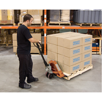 Heavy-Duty Manual Pallet Truck, Steel, 48" L x 20.5" W, 5500 lbs. Capacity Les Distributions ICE
