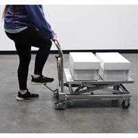 Hydraulic Scissor Lift Table, 31-1/2" L x 19-1/2" W, Stainless Steel, 550 lbs. Capacity Les Distributions ICE