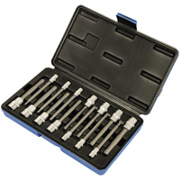 SAE/Metric Socket Set, Hex, 1/4"/3/8" Drive, 14 Pcs Les Distributions ICE