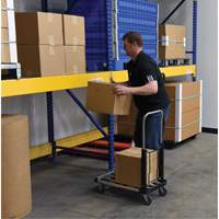 Chariot &agrave; plateforme repliable, Acier inoxydable, 300 lb, 28" lo x 16" la, Hauteur 33-1/2" Les Distributions ICE