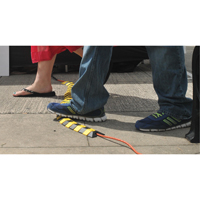 Ultra-Sidewinder&reg; Cable Protection System - Small, 13.125" x 3" x 0.75", 32000 lbs. (16 tons) Les Distributions ICE