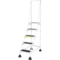 Light-Duty Stop-Step Ladders, 5 Steps, 16" Step Width, 47-11/16" Platform Height, Steel Les Distributions ICE