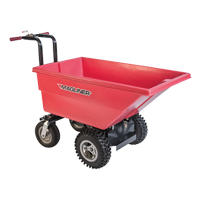 Motorized Tilt Truck, 6 pi³ Capacity, 40" H x 25" W x 56" D Les Distributions ICE