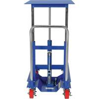 Lift Table, 30"L x 24"W, Steel, 2000 lbs. Capacity Les Distributions ICE