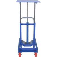 Lift Table, 30"L x 24"W, Steel, 2000 lbs. Capacity Les Distributions ICE