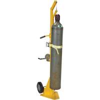 Portable Cylinder Lifter Les Distributions ICE