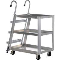 Stockpicker Truck, Aluminum, 21-7/8" W x 40" D, 3 Shelves, 660 lbs. Capacity Les Distributions ICE