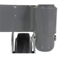 Platform Truck, 48" L x 24" W, 2000 lbs. Capacity, Rubber Casters Les Distributions ICE