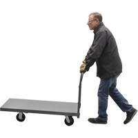 Platform Truck, 48" L x 24" W, 2000 lbs. Capacity, Rubber Casters Les Distributions ICE