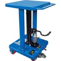 Hydraulic Work Table, 18" L x 18" W, Steel, 500 lbs. Capacity Les Distributions ICE