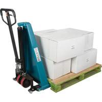 Manual Scissor Skid Lift, 45-1/4" L x 20-1/4" W, Steel, 3300 lbs. Capacity Les Distributions ICE