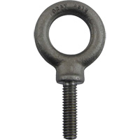 Boulon &agrave; oeil en acier alli&eacute;, 1" dia, 1-1/4" lo, 1480 lb (0,74 tonnes)/1480 lb capacit&eacute; Les Distributions ICE