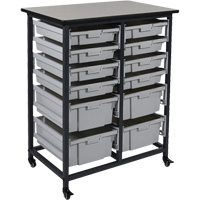 Mobile Bin Storage Unit, Single-sided, 12 bins, 30-3/4" W x 20" D x 37-1/2" H Les Distributions ICE