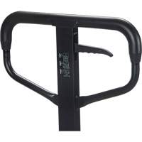 Low Profile Hydraulic Pallet Trucks, 48" L x 20.5" W, 3300 lbs. Cap. Les Distributions ICE