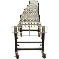 Expandable Conveyor, 23" W x 24' L, 200 lbs. per lin. ft. Capacity Les Distributions ICE