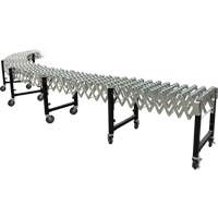 Expandable Conveyor, 23" W x 24' L, 200 lbs. per lin. ft. Capacity Les Distributions ICE