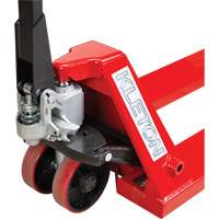 Manual Pallet Truck, Steel, 48" L x 21" W, 5500 lbs. Capacity Les Distributions ICE