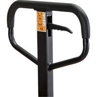 Manual Pallet Truck, Steel, 48" L x 21" W, 5500 lbs. Capacity Les Distributions ICE
