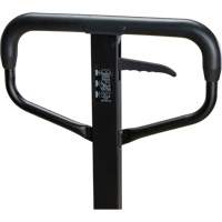 Steel Wheel Pallet Truck, Steel, 48" L x 27" W, 5500 lbs. Capacity Les Distributions ICE
