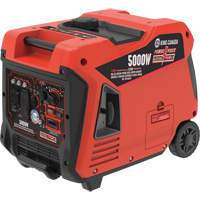 Dual Fuel Gasoline/Propane Inverter Generator Les Distributions ICE