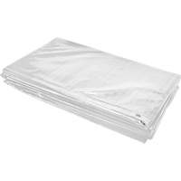Insulated Tarp, Polyethylene, White, 20' x 12' x 8 mils Les Distributions ICE