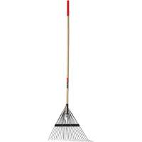 Lawn Rake, 24 Tines, Hardwood Handle, Steel Blade Les Distributions ICE