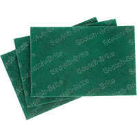 Tampons manuels Scotch-Brite, 9" lo x 6" la Les Distributions ICE