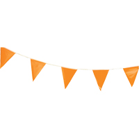 Fanions, 60' lo, Orange Les Distributions ICE