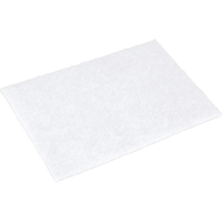 Tampons manuels Scotch-Brite, 9" lo x 6" la Les Distributions ICE