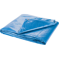 Tarp, Standard Duty, Blue, 7' x 5' x 4 mils Les Distributions ICE