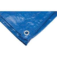 Tarp, Standard Duty, Blue, 7' x 5' x 4 mils Les Distributions ICE