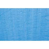 Tarp, Standard Duty, Blue, 7' x 5' x 4 mils Les Distributions ICE
