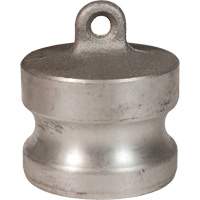 Dust Plugs
