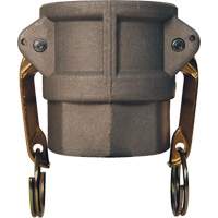 Global Cam & Groove Coupler, Aluminum, Type D, 2", Female NPT, 250 PSI Les Distributions ICE