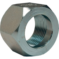 Dixon&reg; Mining Hex Nut, 1", Zinc Plated, NPT Thread Les Distributions ICE