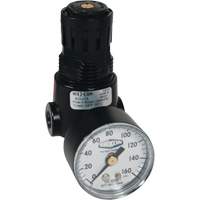 R&eacute;gulateur miniature R04 Wilkerson, 1/4" NPT, PSI max. de 300 psi, Standard Les Distributions ICE