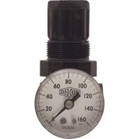R&eacute;gulateur miniature de s&eacute;rie 1, 1/8" NPT, PSI max. de 100 psi, Standard Les Distributions ICE