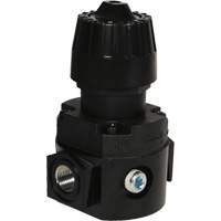 R&eacute;gulateur compact R16 Wilkerson, 1/4" NPT, PSI max. de 300 psi, Standard Les Distributions ICE