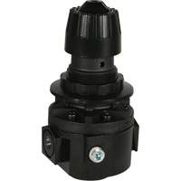 R&eacute;gulateur Wilkerson R26, 3/8" NPT, PSI max. de 300 psi, Standard Les Distributions ICE