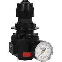 R&eacute;gulateur Wilkerson R26, 1/2" NPT, PSI max. de 300 psi, Standard Les Distributions ICE