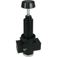 R&eacute;gulateur &agrave; d&eacute;bit &eacute;lev&eacute; R30 Wilkerson, 3/4" NPT, PSI max. de 300 psi, Standard Les Distributions ICE