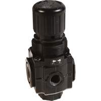 Collecteur de r&eacute;gulateur de s&eacute;rie 1, 1/4" NPT, PSI max. de 150 psi, Standard Les Distributions ICE