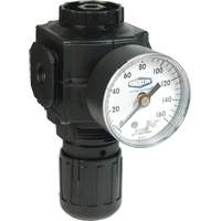 R&eacute;gulateur compact de s&eacute;rie 1, 1/2" NPT, PSI max. de 150 psi, Standard Les Distributions ICE