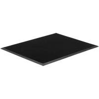 Tapis Gritstop Fingermat, Caoutchouc, Grattoir Type, Motif Textur&eacute;, 2-2/3" x 3-3/4", Noir Les Distributions ICE