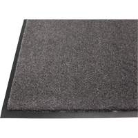 Poly-Tuft Matting, Wiper, 4' x 6' x 5/16", Charcoal Les Distributions ICE