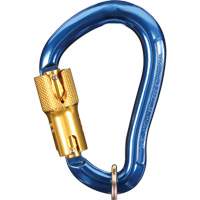 Nano-Lok Carabiner, Aluminum, 3600 lbs Capacity Les Distributions ICE