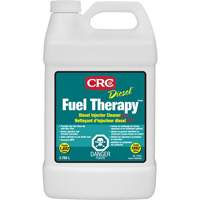 Nettoyant pour injecteur diesel Diesel Fuel Therapy Les Distributions ICE
