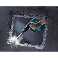 Demolition Hammer Les Distributions ICE